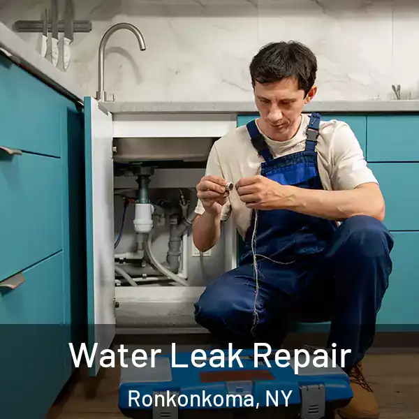  Water Leak Repair Ronkonkoma, NY